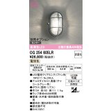 オーデリック　OG254605LR(ランプ別梱)　ブラケットライト 非調光 LEDランプ 電球色 防雨型 チャコールグレー