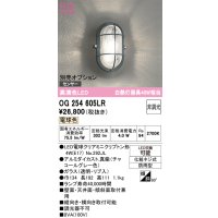 オーデリック　OG254605LR(ランプ別梱)　ブラケットライト 非調光 LEDランプ 電球色 防雨型 チャコールグレー