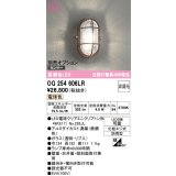 オーデリック　OG254606LR(ランプ別梱)　ブラケットライト 非調光 LEDランプ 電球色 防雨型 鉄錆色