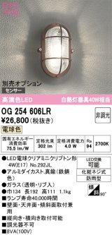 オーデリック　OG254606LR(ランプ別梱)　ブラケットライト 非調光 LEDランプ 電球色 防雨型 鉄錆色