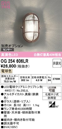 オーデリック　OG254606LR(ランプ別梱)　ブラケットライト 非調光 LEDランプ 電球色 防雨型 鉄錆色