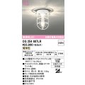 オーデリック　OG254607LR(ランプ別梱)　ブラケットライト 非調光 LEDランプ 電球色 防雨型 オフホワイト