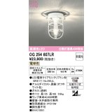オーデリック　OG254607LR(ランプ別梱)　ブラケットライト 非調光 LEDランプ 電球色 防雨型 オフホワイト