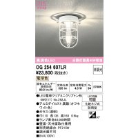 オーデリック　OG254607LR(ランプ別梱)　ブラケットライト 非調光 LEDランプ 電球色 防雨型 オフホワイト
