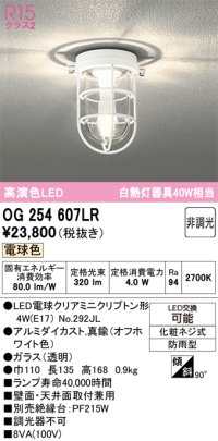 オーデリック　OG254607LR(ランプ別梱)　ブラケットライト 非調光 LEDランプ 電球色 防雨型 オフホワイト