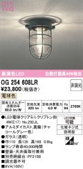 オーデリック　OG254608LR(ランプ別梱)　ブラケットライト 非調光 LEDランプ 電球色 防雨型 チャコールグレー