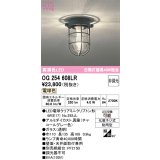 オーデリック　OG254608LR(ランプ別梱)　ブラケットライト 非調光 LEDランプ 電球色 防雨型 チャコールグレー