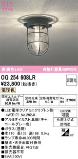 オーデリック　OG254608LR(ランプ別梱)　ブラケットライト 非調光 LEDランプ 電球色 防雨型 チャコールグレー