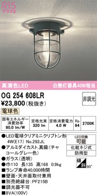 オーデリック　OG254608LR(ランプ別梱)　ブラケットライト 非調光 LEDランプ 電球色 防雨型 チャコールグレー