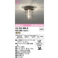 オーデリック　OG254609LR(ランプ別梱)　ブラケットライト 非調光 LEDランプ 電球色 防雨型 鉄錆色