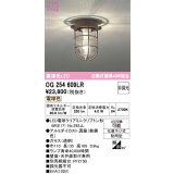オーデリック　OG254609LR(ランプ別梱)　ブラケットライト 非調光 LEDランプ 電球色 防雨型 鉄錆色