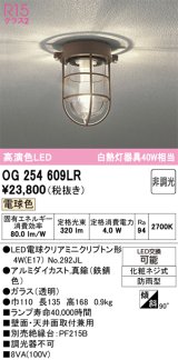 オーデリック　OG254609LR(ランプ別梱)　ブラケットライト 非調光 LEDランプ 電球色 防雨型 鉄錆色