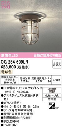 オーデリック　OG254609LR(ランプ別梱)　ブラケットライト 非調光 LEDランプ 電球色 防雨型 鉄錆色