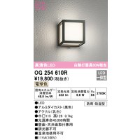 オーデリック　OG254610R　エクステリア ポーチライト LED一体型 電球色 防雨・防湿型 ブラック
