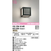 オーデリック　OG254614R　エクステリア ポーチライト LED一体型 電球色 防雨・防湿型 ブラック