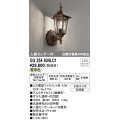 オーデリック　OG254634LC1　エクステリア ポーチライト LEDランプ 電球色 人感センサー付 防雨型 鉄錆色
