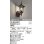 画像1: オーデリック　OG254634LC1　エクステリア ポーチライト LEDランプ 電球色 人感センサー付 防雨型 鉄錆色 (1)