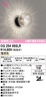 オーデリック　OG254693LR(ランプ別梱)　エクステリア ポーチライト LEDランプ 電球色 防雨・防湿型