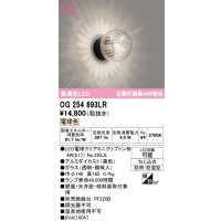 オーデリック　OG254693LR(ランプ別梱)　エクステリア ポーチライト LEDランプ 電球色 防雨・防湿型