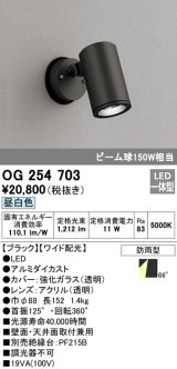 オーデリック　OG254703　エクステリアスポットライト LED一体型 昼白色 ワイド配光 防雨型 ブラック