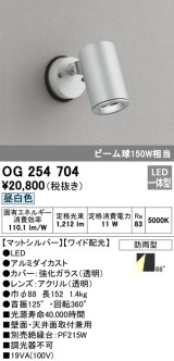 オーデリック　OG254704　エクステリアスポットライト LED一体型 昼白色 ワイド配光 防雨型 マットシルバー