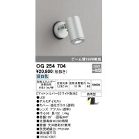 オーデリック　OG254704　エクステリアスポットライト LED一体型 昼白色 ワイド配光 防雨型 マットシルバー