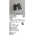 オーデリック　OG254706P1　エクステリアスポットライト LED一体型 昼白色 ビーム球150W相当 ミディアム配光 防雨型 黒