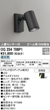 オーデリック　OG254706P1　エクステリアスポットライト LED一体型 昼白色 ビーム球150W相当 ミディアム配光 防雨型 黒