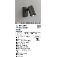 オーデリック　OG254706P1　エクステリアスポットライト LED一体型 昼白色 ビーム球150W相当 ミディアム配光 防雨型 黒