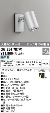 オーデリック　OG254707P1　エクステリアスポットライト LED一体型 昼白色 ビーム球150W相当 ミディアム配光 防雨型 マットシルバー