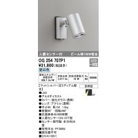 オーデリック　OG254707P1　エクステリアスポットライト LED一体型 昼白色 ビーム球150W相当 ミディアム配光 防雨型 マットシルバー