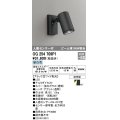 オーデリック　OG254709P1　エクステリアスポットライト LED一体型 昼白色 ビーム球150W相当 ワイド配光 防雨型 黒