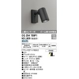 オーデリック　OG254709P1　エクステリアスポットライト LED一体型 昼白色 ビーム球150W相当 ワイド配光 防雨型 黒