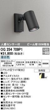 オーデリック　OG254709P1　エクステリアスポットライト LED一体型 昼白色 ビーム球150W相当 ワイド配光 防雨型 黒