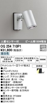 オーデリック　OG254710P1　エクステリアスポットライト LED一体型 昼白色 ビーム球150W相当 ワイド配光 防雨型 マットシルバー