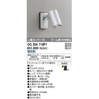 オーデリック　OG254710P1　エクステリアスポットライト LED一体型 昼白色 ビーム球150W相当 ワイド配光 防雨型 マットシルバー