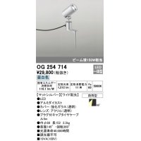 オーデリック　OG254714　エクステリアスポットライト LED一体型 昼白色 ワイド配光 防雨型 マットシルバー