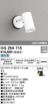 オーデリック　OG254715　エクステリアスポットライト LED一体型 昼白色 ミディアム配光 防雨型 オフホワイト