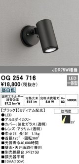 オーデリック　OG254716　エクステリアスポットライト LED一体型 昼白色 ミディアム配光 防雨型 ブラック