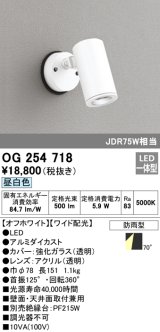 オーデリック　OG254718　エクステリアスポットライト LED一体型 昼白色 ワイド配光 防雨型 オフホワイト