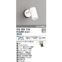 オーデリック　OG254718　エクステリアスポットライト LED一体型 昼白色 ワイド配光 防雨型 オフホワイト
