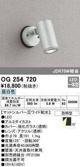 オーデリック　OG254720　エクステリアスポットライト LED一体型 昼白色 ワイド配光 防雨型 マットシルバー