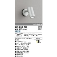 オーデリック　OG254720　エクステリアスポットライト LED一体型 昼白色 ワイド配光 防雨型 マットシルバー