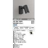 オーデリック　OG254722P1　エクステリアスポットライト LED一体型 昼白色 JDR75W相当 ミディアム配光 防雨型 黒
