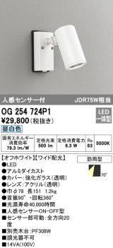 オーデリック　OG254724P1　エクステリアスポットライト LED一体型 昼白色 JDR75W相当 ワイド配光 防雨型 オフホワイト