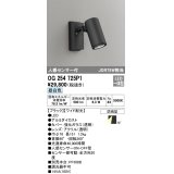 オーデリック　OG254725P1　エクステリアスポットライト LED一体型 昼白色 JDR75W相当 ワイド配光 防雨型 黒