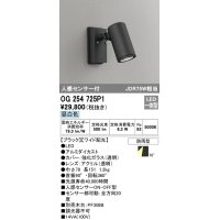 オーデリック　OG254725P1　エクステリアスポットライト LED一体型 昼白色 JDR75W相当 ワイド配光 防雨型 黒