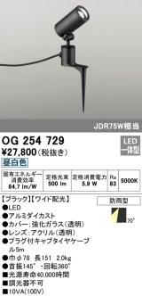 オーデリック　OG254729　エクステリアスポットライト LED一体型 昼白色 ワイド配光 防雨型 ブラック