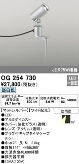 オーデリック　OG254730　エクステリアスポットライト LED一体型 昼白色 ワイド配光 防雨型 マットシルバー