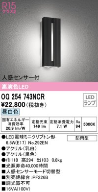 オーデリック　OG254743NCR(ランプ別梱)　エクステリア ポーチライト LEDランプ 昼白色 人感センサー付 防雨型 ブラック
